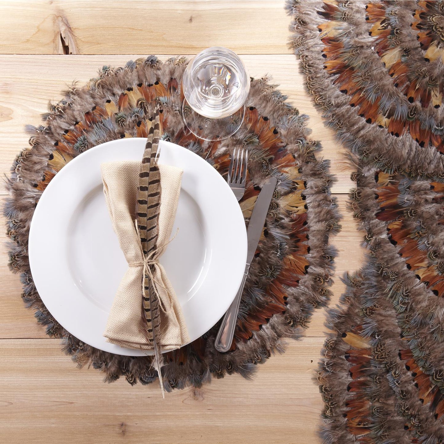 Pheasant Park Decorative Mat Set of 6
