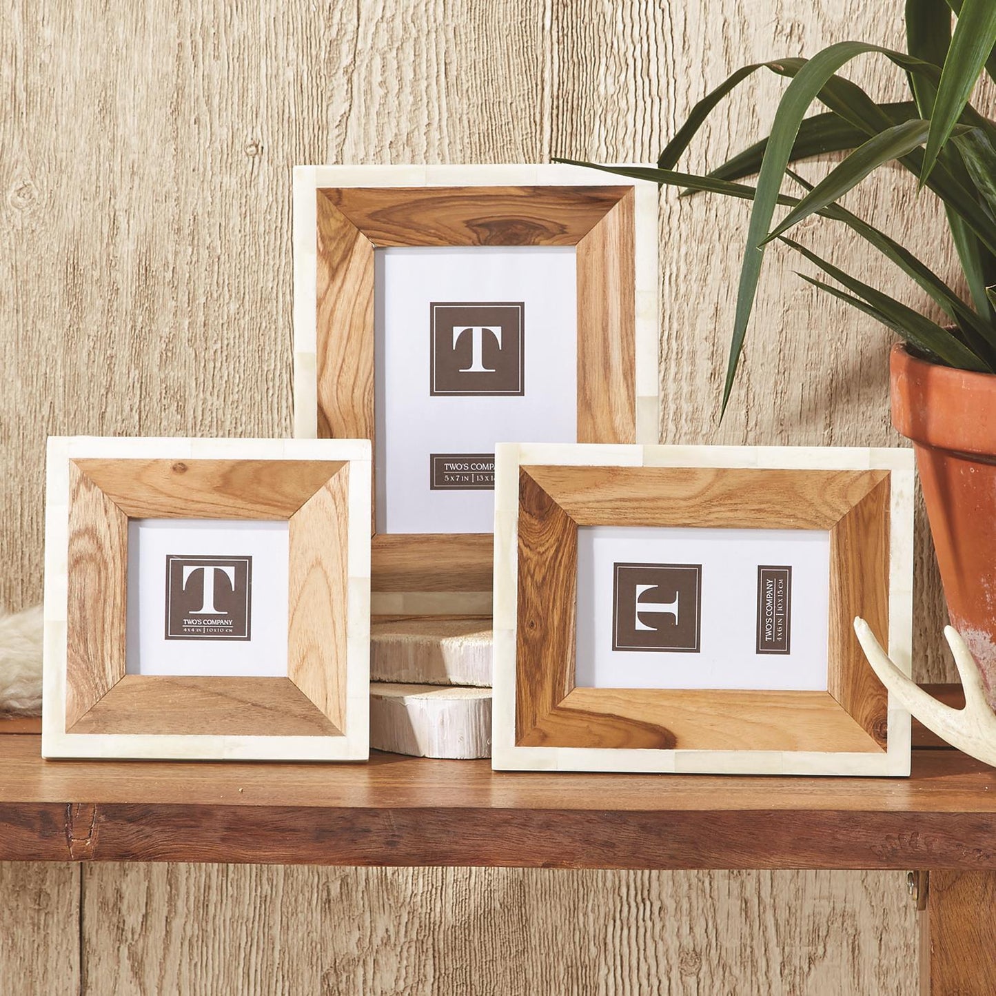 Wood and Bone Photo Frame Set of 3