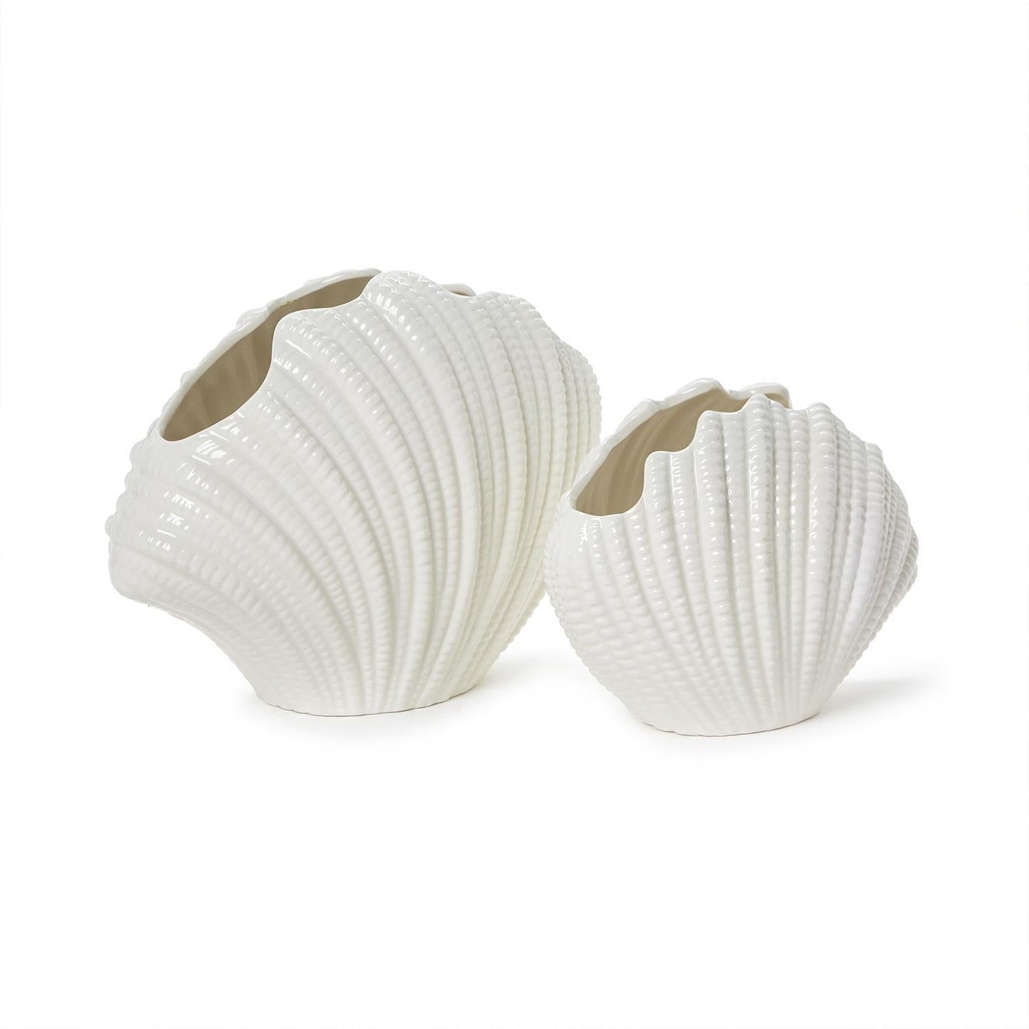 White Shell Vase Set of 2