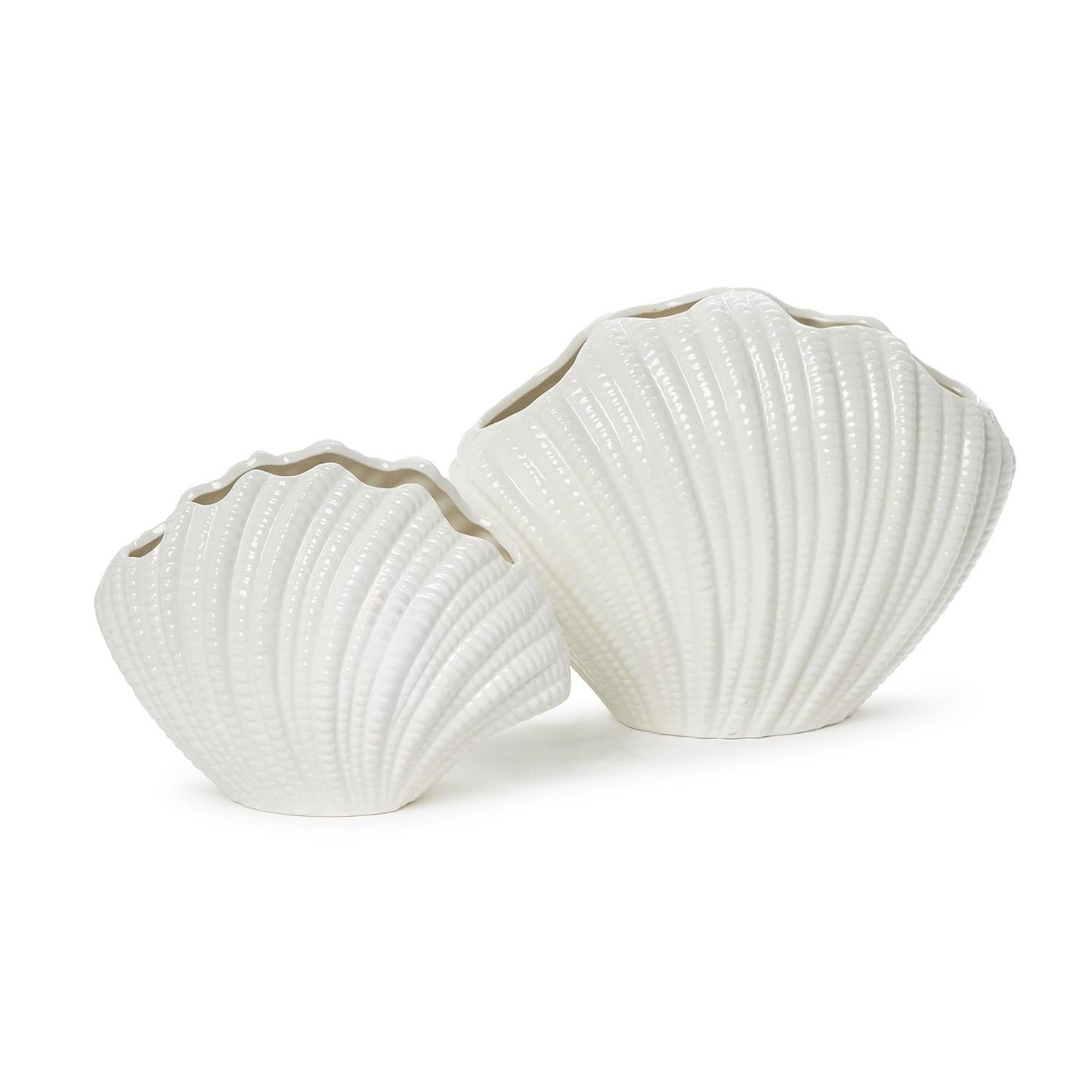 White Shell Vase Set of 2