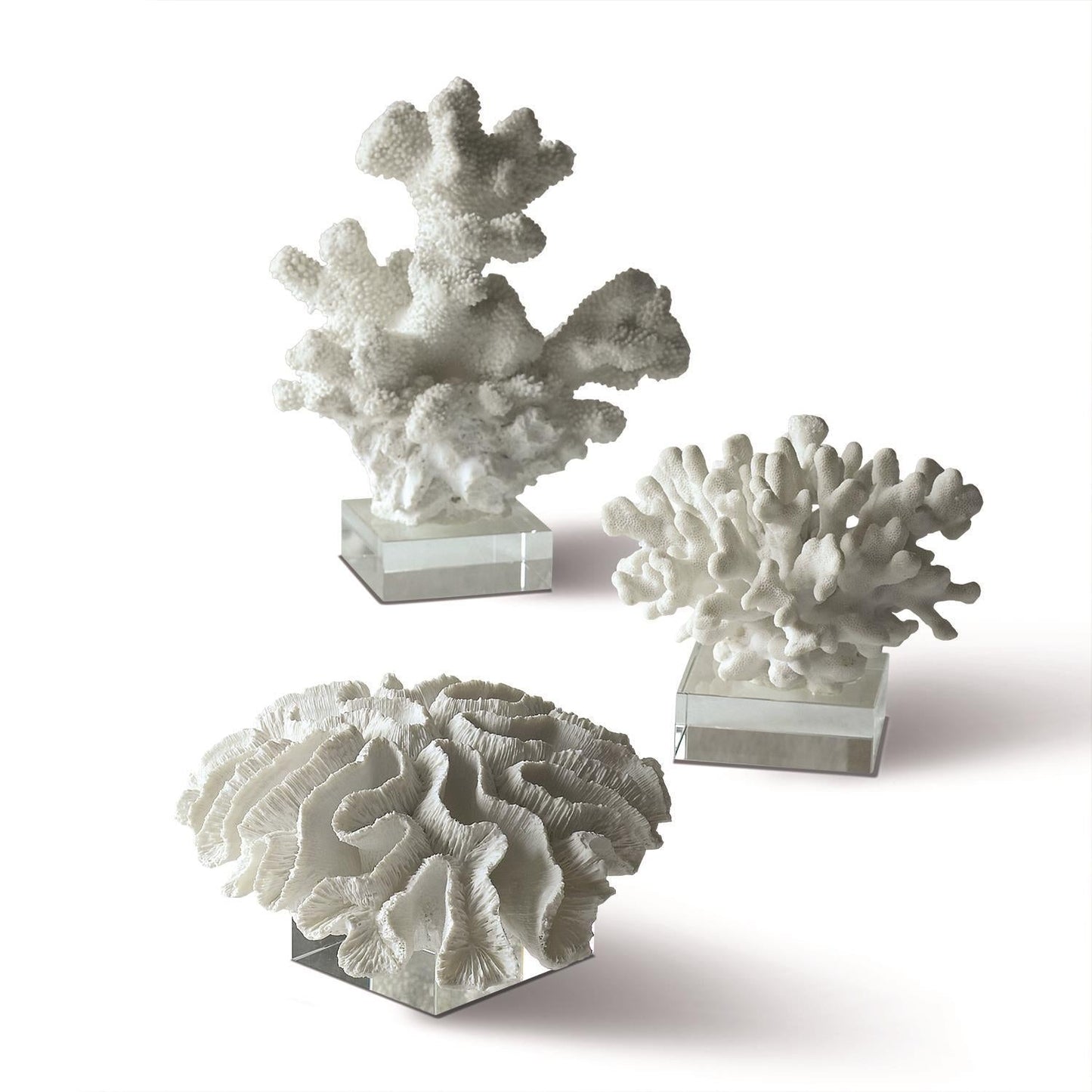 Reef Sculpture Set of 3