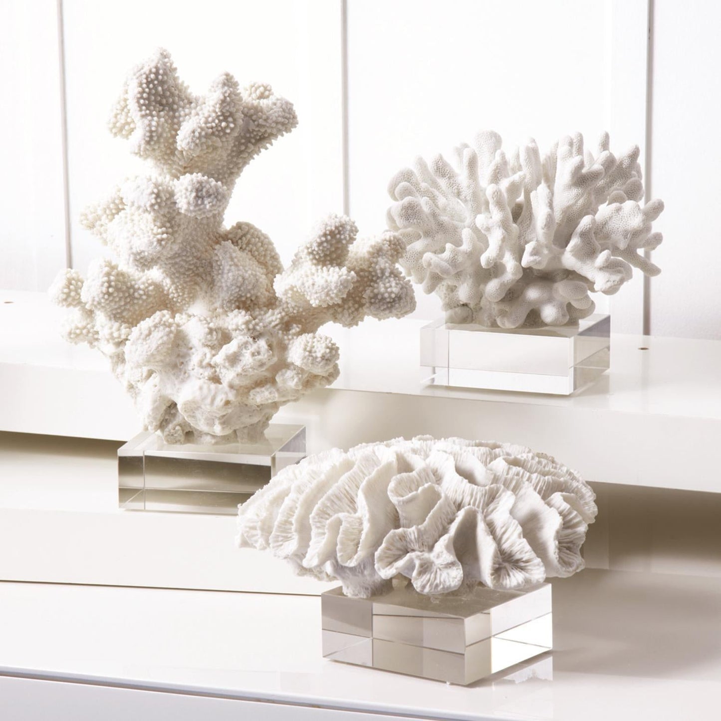Reef Sculpture Set of 3