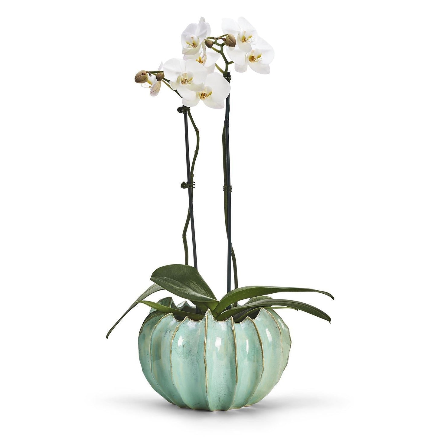 Celadon Gourd Vase