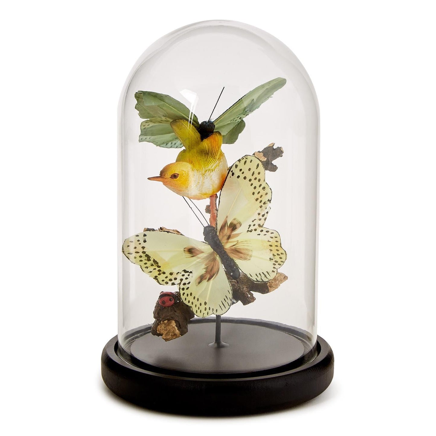 Butterfly and Bird Sculpture Cloche