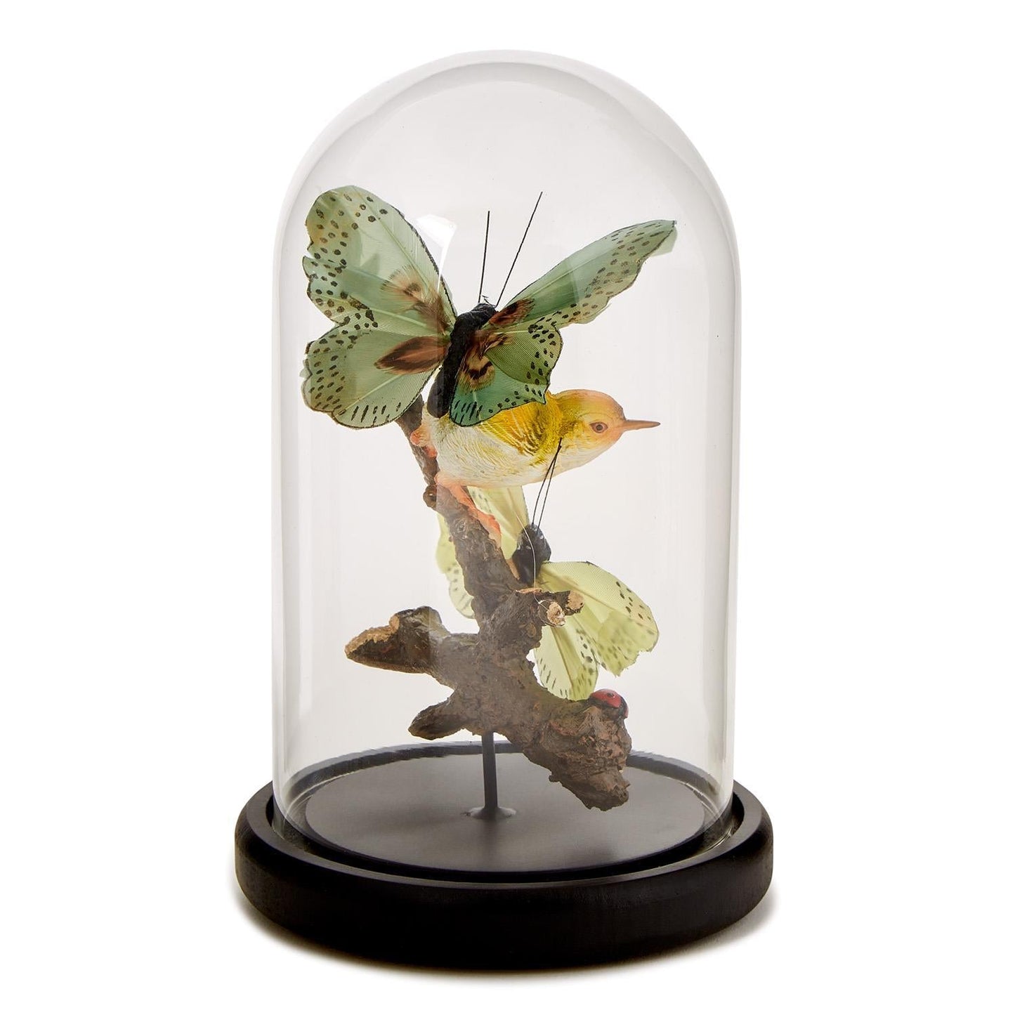 Butterfly and Bird Sculpture Cloche
