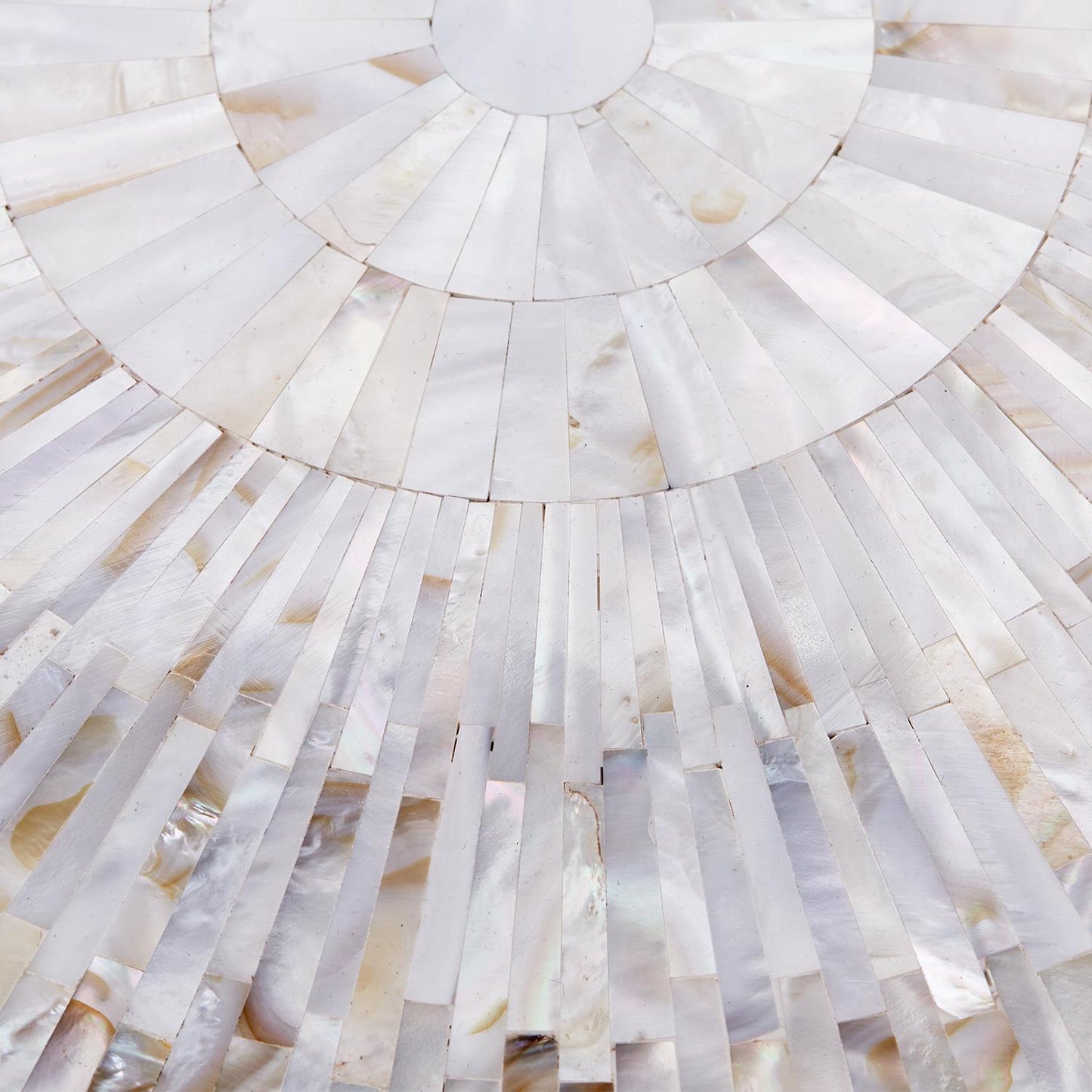 Jaipur Palace Mother of Pearl Tray