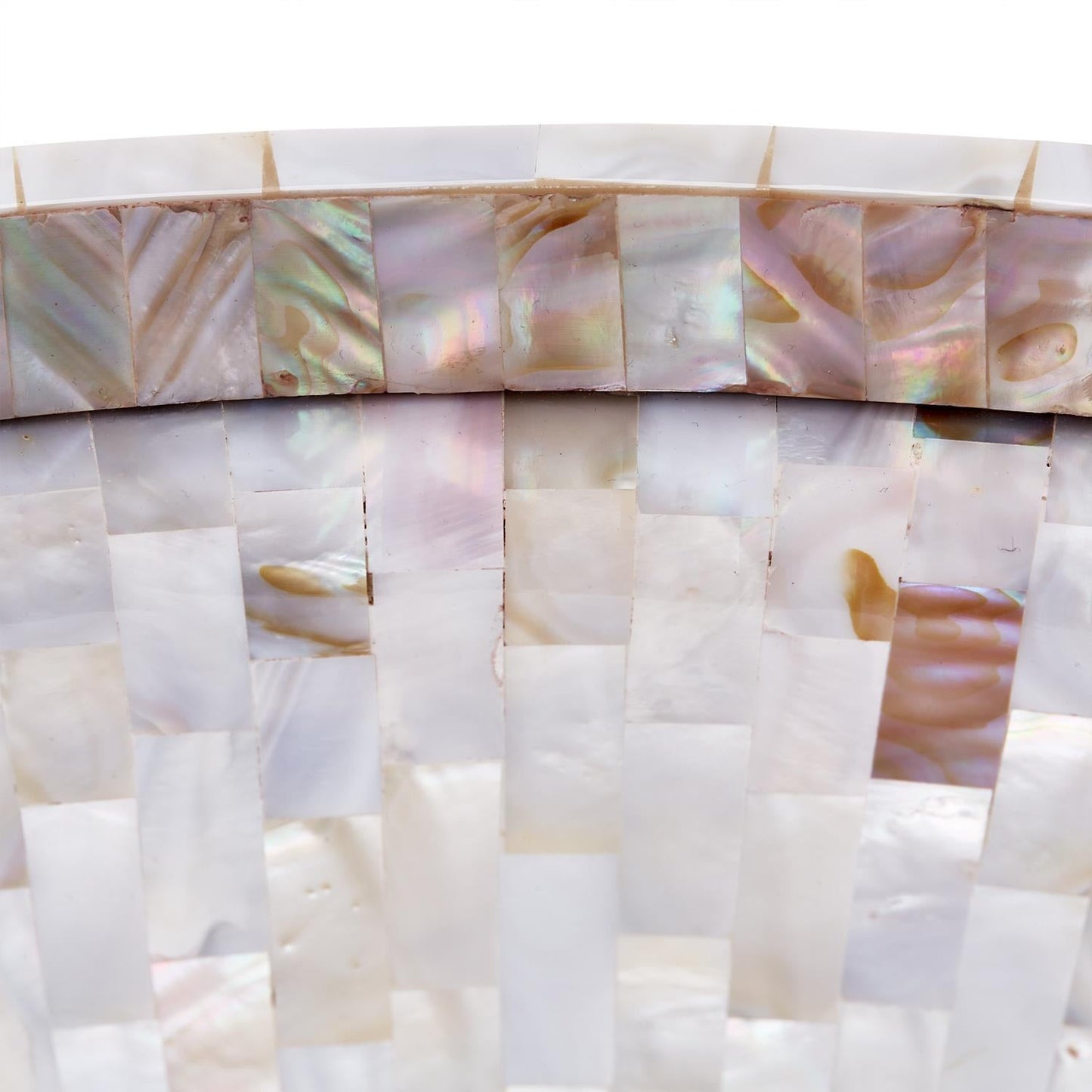 Jaipur Palace Mother of Pearl Tray