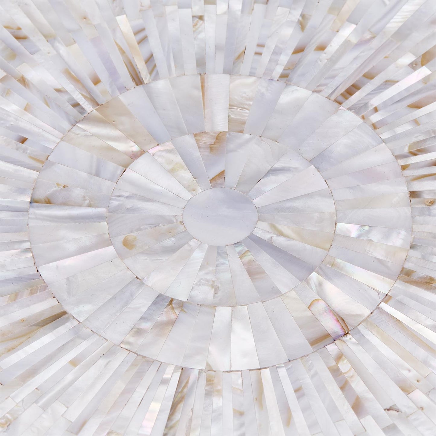 Jaipur Palace Mother of Pearl Tray