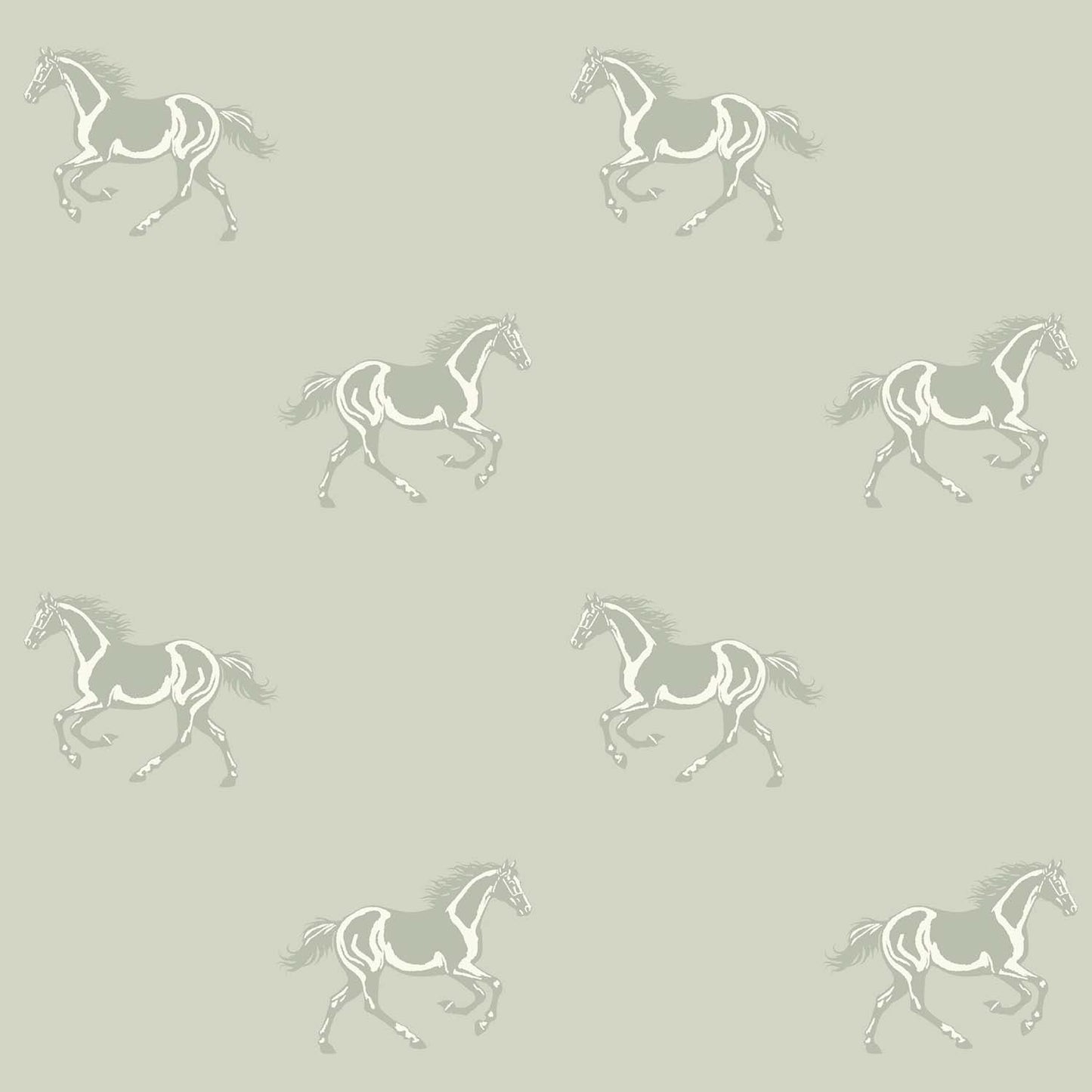 Mitchell Black Thoroughbred Wallpaper