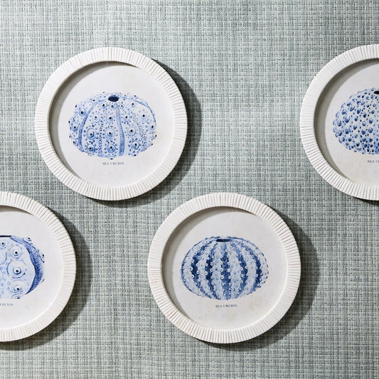 Sea Urchin Wall Art Set of 4