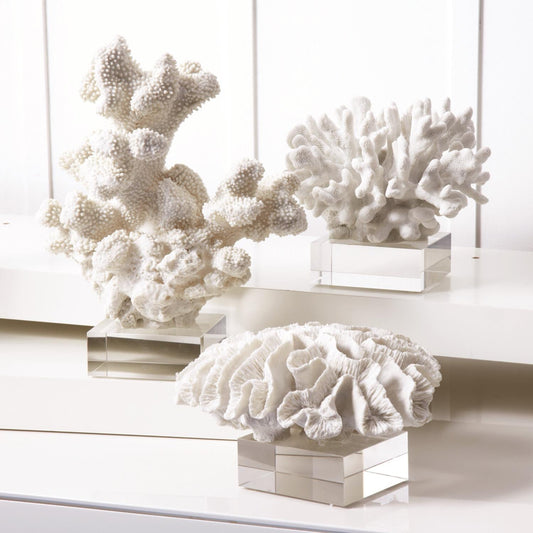 Reef Sculpture Set of 3